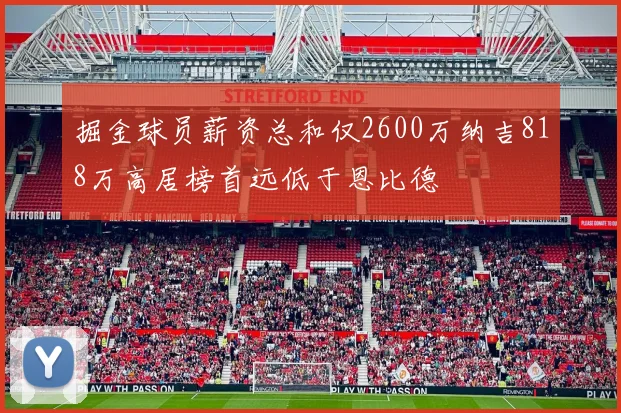掘金球员薪资总和仅2600万纳吉818万高居榜首远低于恩比德