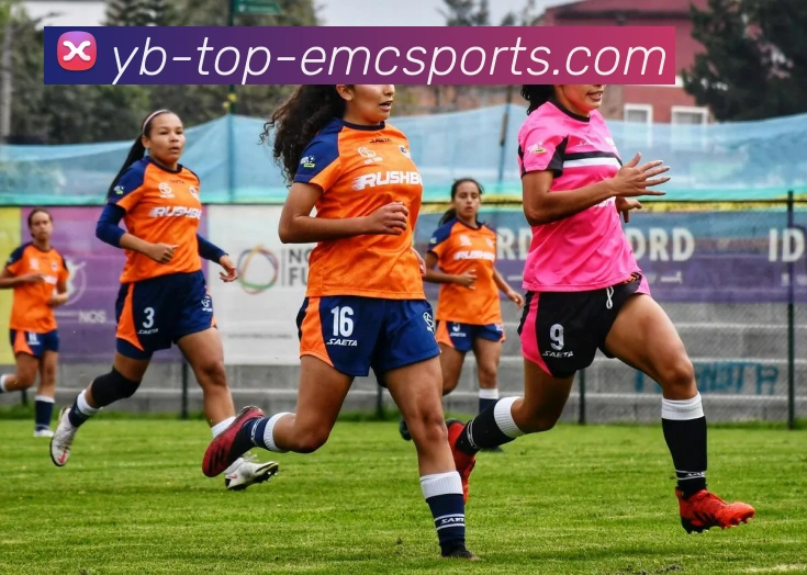 易倍体育APP 封面图